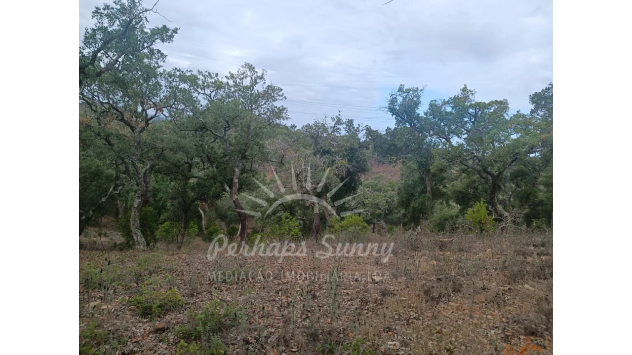 Terreno Agricola ou Rústico para Venda em São Francisco da Serra Foto 4