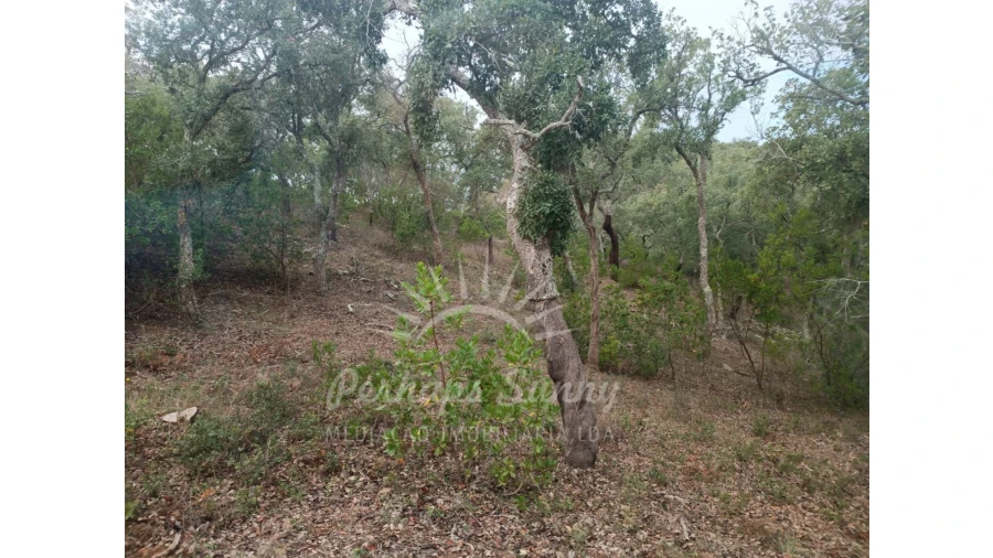 Terreno Agricola ou Rústico para Venda em São Francisco da Serra