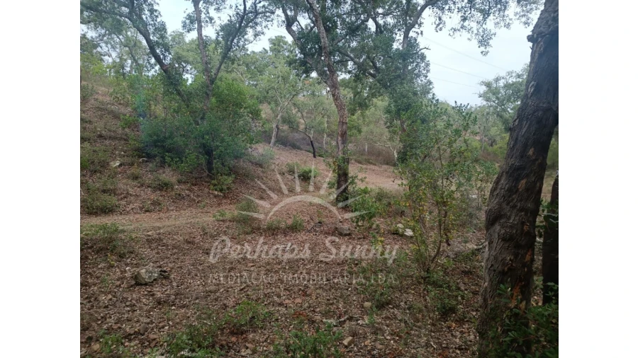 Terreno Agricola ou Rústico para Venda em São Francisco da Serra Foto 5