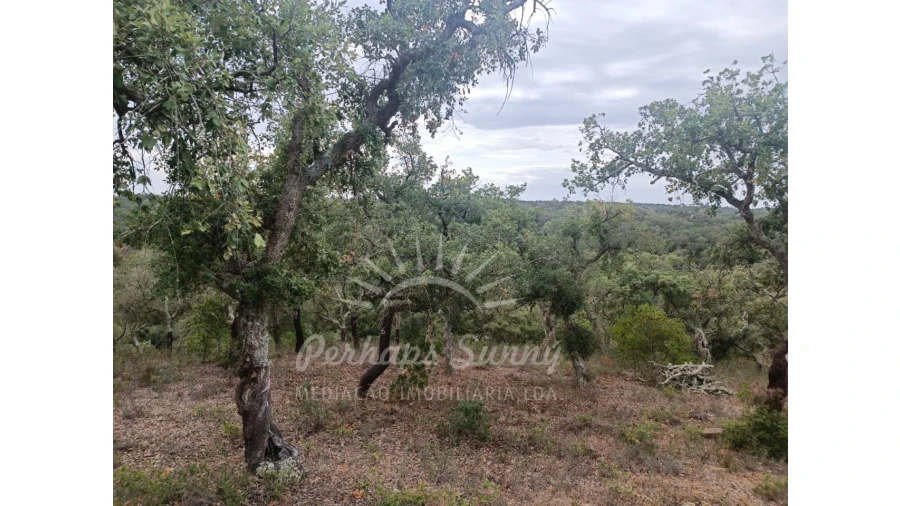 Terreno Agricola ou Rústico para Venda em São Francisco da Serra Foto 7