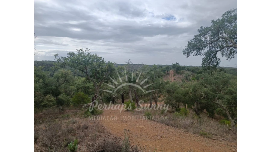 Terreno Agricola ou Rústico para Venda em São Francisco da Serra Foto 8