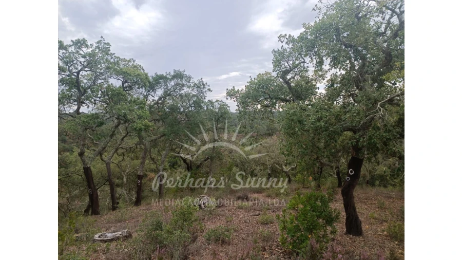 Terreno Agricola ou Rústico para Venda em São Francisco da Serra Foto 9