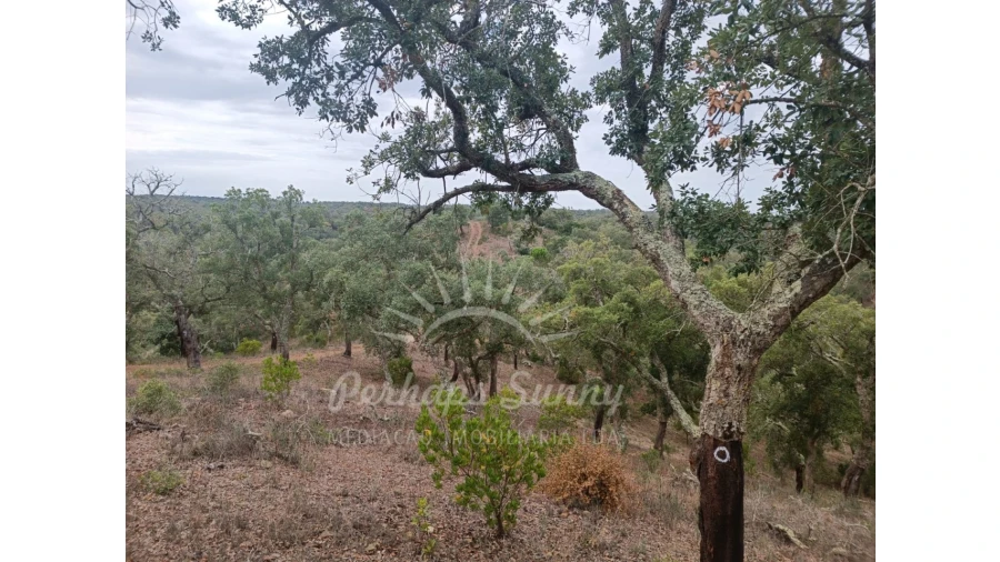 Terreno Agricola ou Rústico para Venda em São Francisco da Serra Foto 10