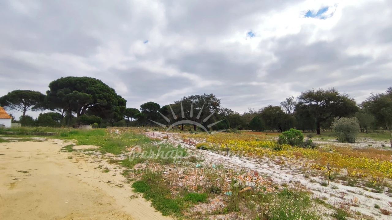 Terreno Misto para Venda em Grândola e Santa Margarida da Serra Foto 8