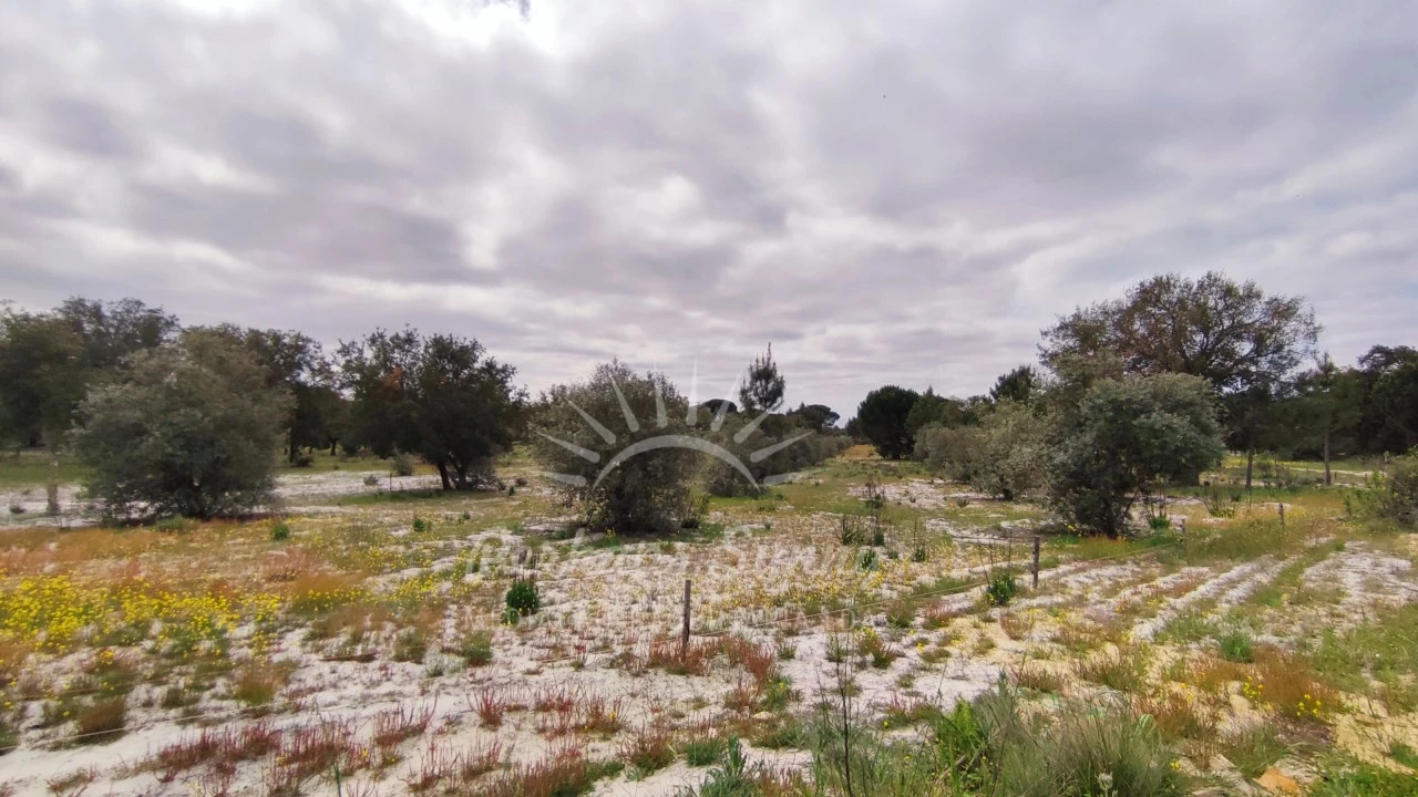Terreno Misto para Venda em Grândola e Santa Margarida da Serra Foto 12