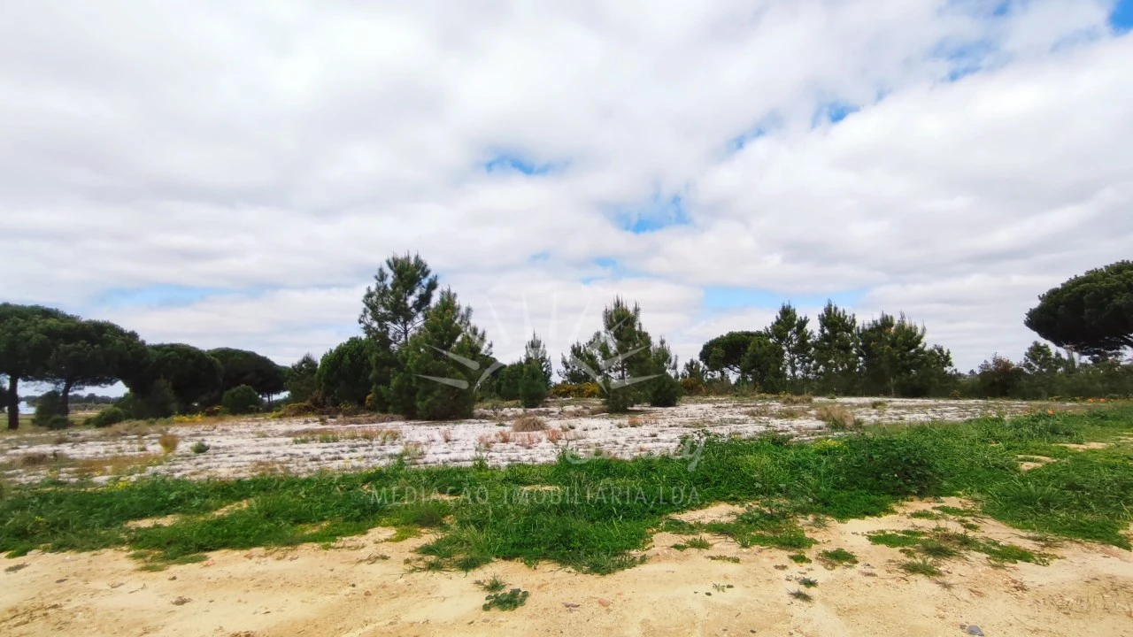 Terreno Misto para Venda em Grândola e Santa Margarida da Serra Foto 11
