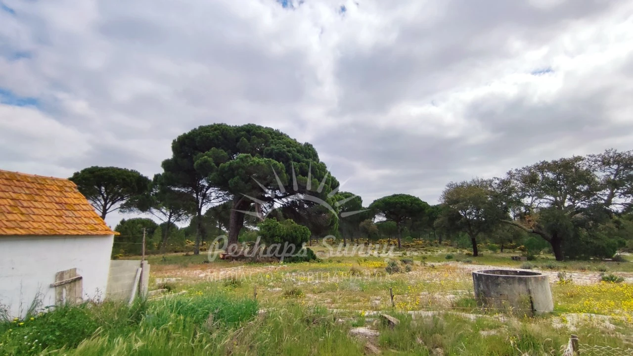 Terreno Misto para Venda em Grândola e Santa Margarida da Serra Foto 13