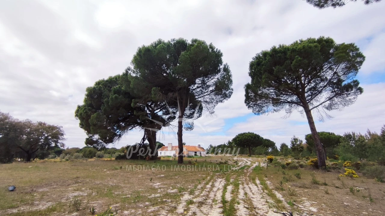 Terreno Misto para Venda em Grândola e Santa Margarida da Serra Foto 9