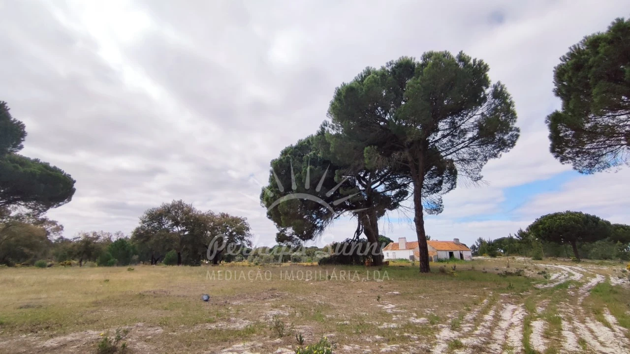 Terreno Misto para Venda em Grândola e Santa Margarida da Serra Foto 28
