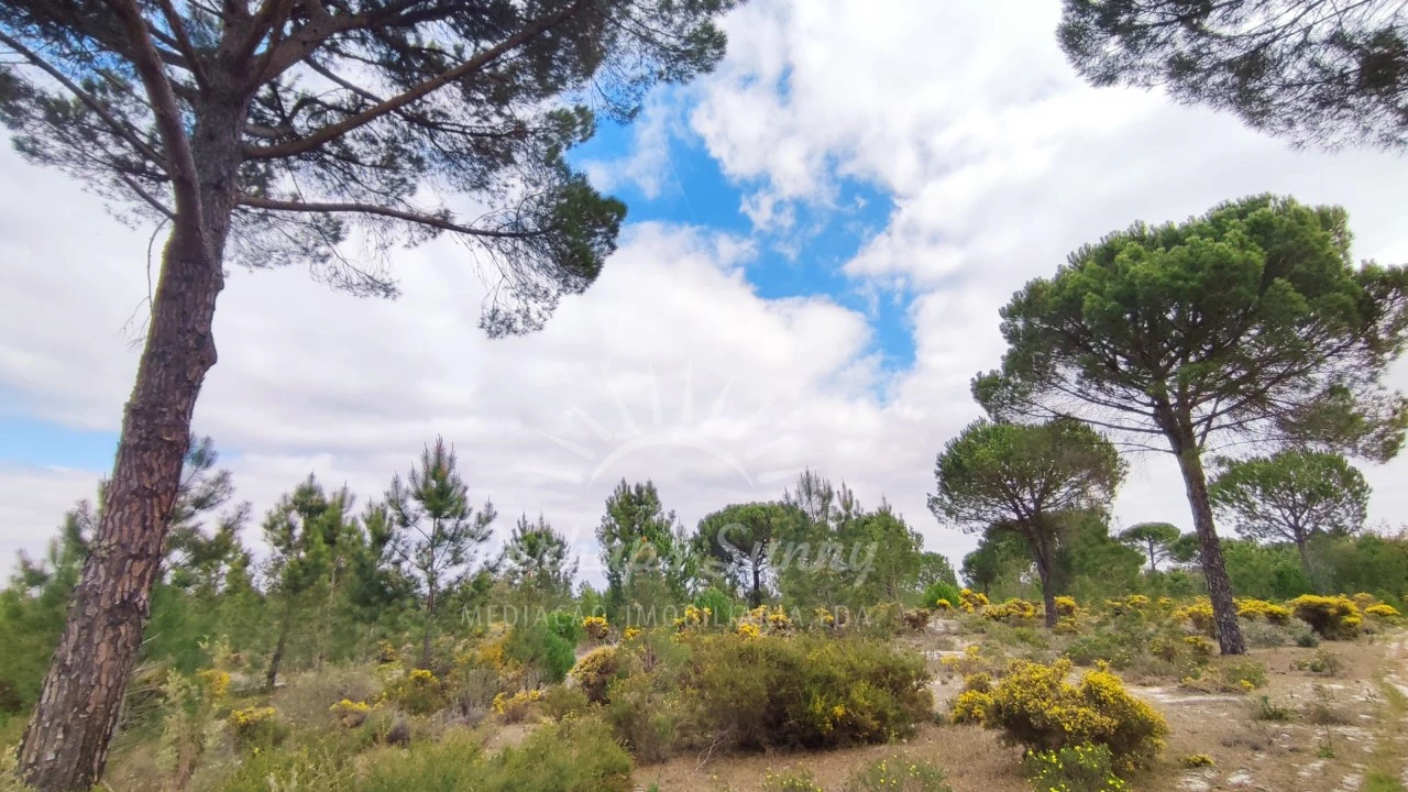 Terreno Misto para Venda em Grândola e Santa Margarida da Serra Foto 5