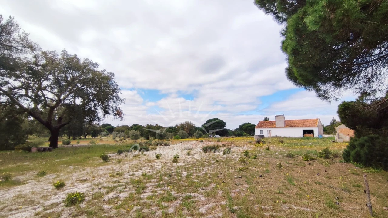 Terreno Misto para Venda em Grândola e Santa Margarida da Serra Foto 29