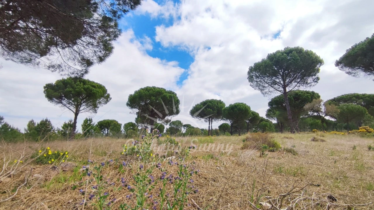 Terreno Misto para Venda em Grândola e Santa Margarida da Serra Foto 32