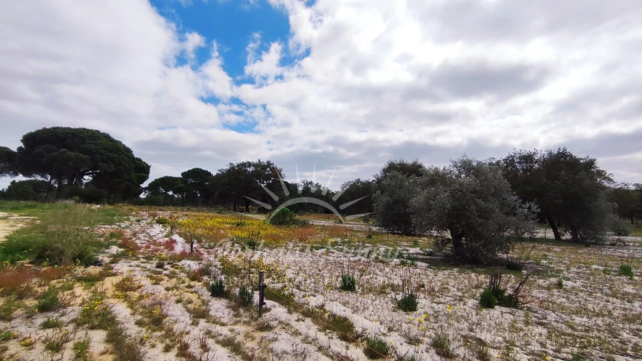 Terreno Misto para Venda em Grândola e Santa Margarida da Serra Foto 33