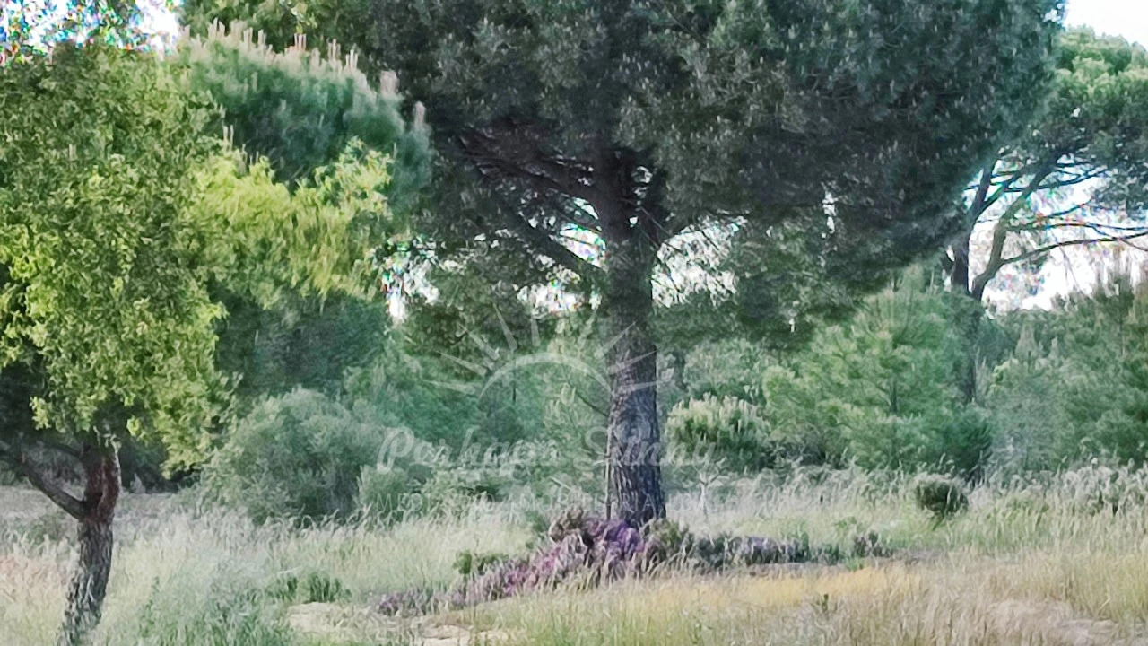 Terreno Misto para Venda em Grândola e Santa Margarida da Serra Foto 34