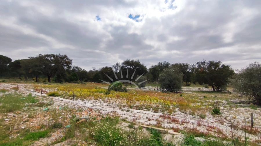 Terreno Misto para Venda em Grândola e Santa Margarida da Serra Foto 7