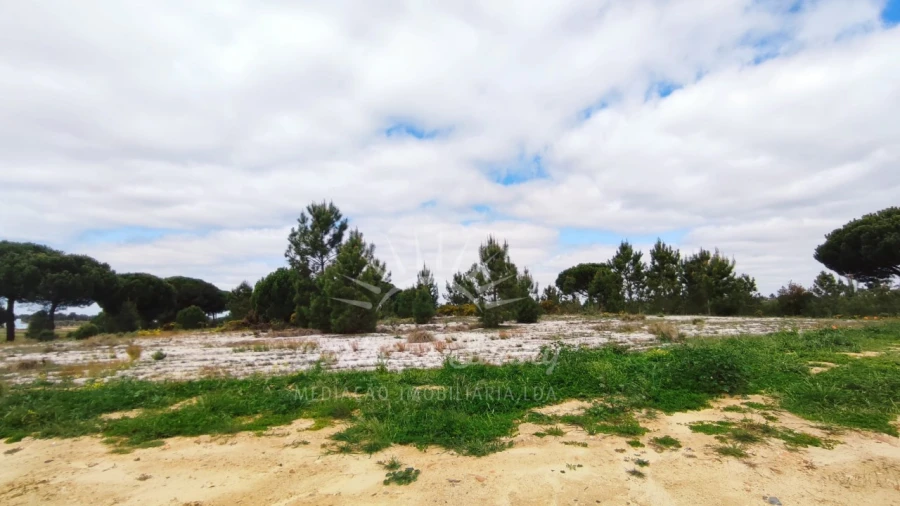 Terreno Misto para Venda em Grândola e Santa Margarida da Serra Foto 11