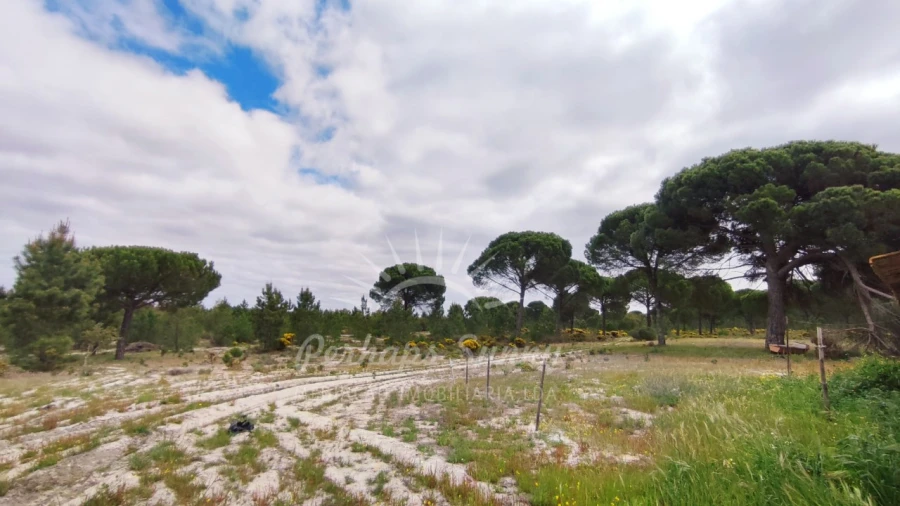 Terreno Misto para Venda em Grândola e Santa Margarida da Serra Foto 18
