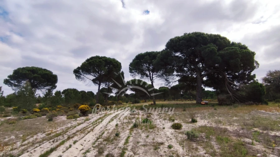 Terreno Misto para Venda em Grândola e Santa Margarida da Serra Foto 16