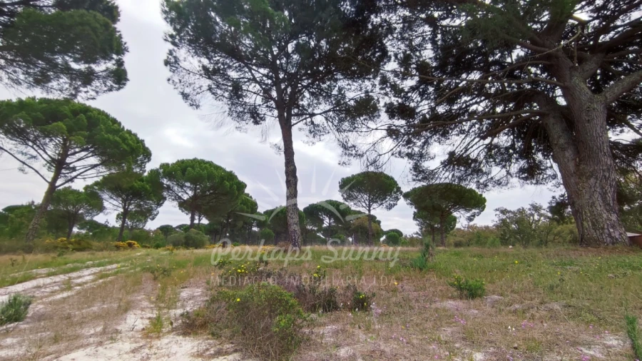 Terreno Misto para Venda em Grândola e Santa Margarida da Serra Foto 25