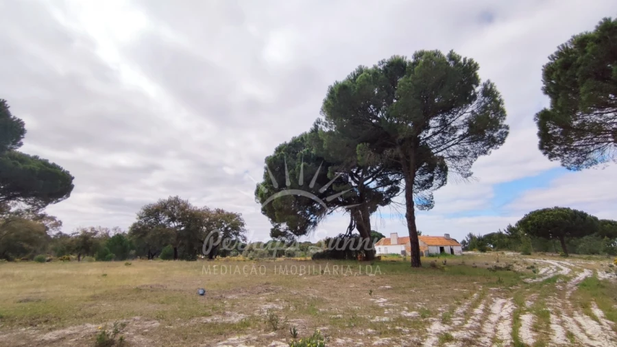 Terreno Misto para Venda em Grândola e Santa Margarida da Serra Foto 28