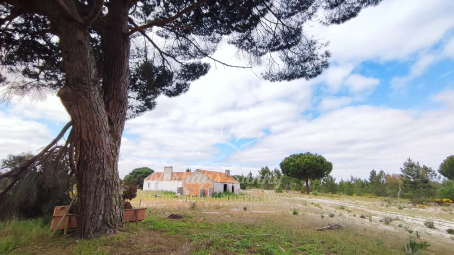 Terreno Misto para Venda em Grândola e Santa Margarida da Serra Foto 20