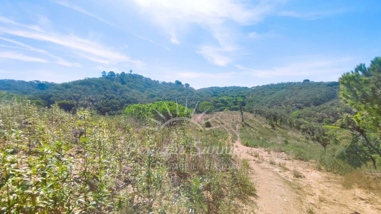 Terreno Agricola ou Rústico para Venda em Melides Foto 2