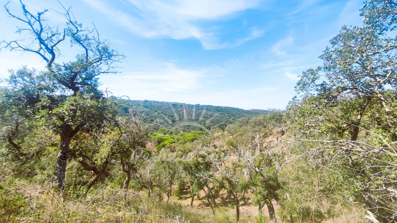 Terreno Agricola ou Rústico para Venda em Melides Foto 6
