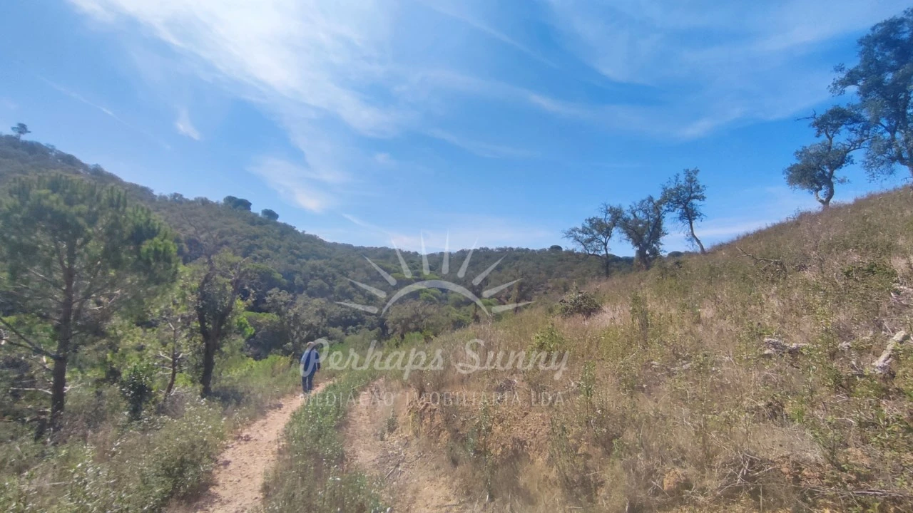 Terreno Agricola ou Rústico para Venda em Melides Foto 17
