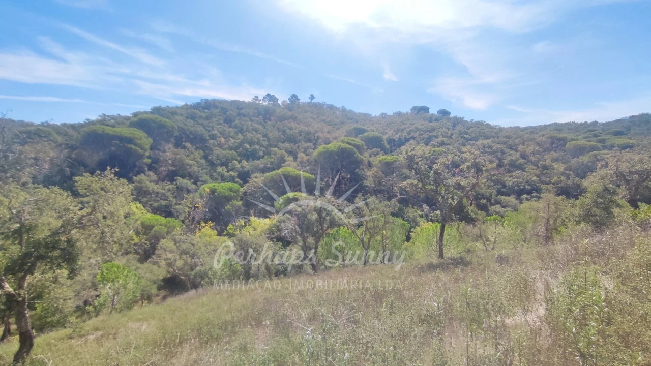 Terreno Agricola ou Rústico para Venda em Melides Foto 18