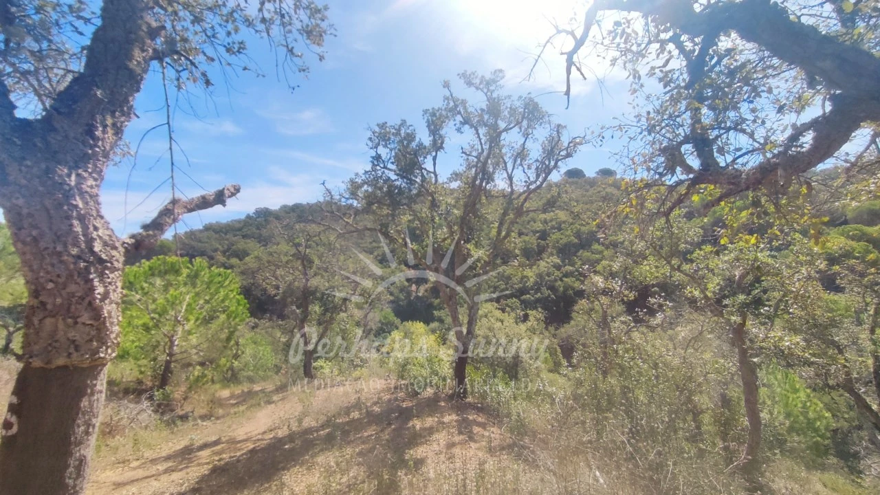 Terreno Agricola ou Rústico para Venda em Melides Foto 19