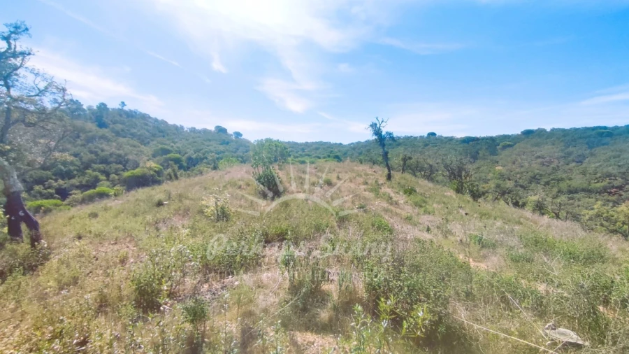 Terreno Agricola ou Rústico para Venda em Melides Foto 3
