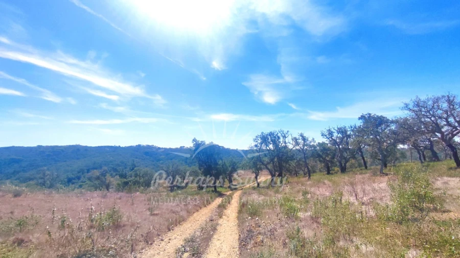 Terreno Agricola ou Rústico para Venda em Melides Foto 12