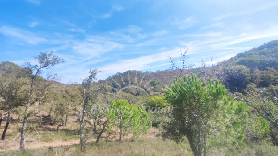 Terreno Agricola ou Rústico para Venda em Melides Foto 11