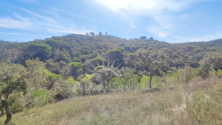 Terreno Agricola ou Rústico para Venda em Melides Foto 18