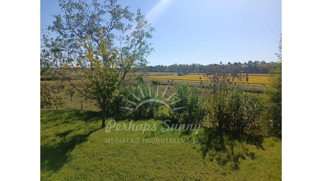 Moradia T5 para Venda em Comporta Foto 9
