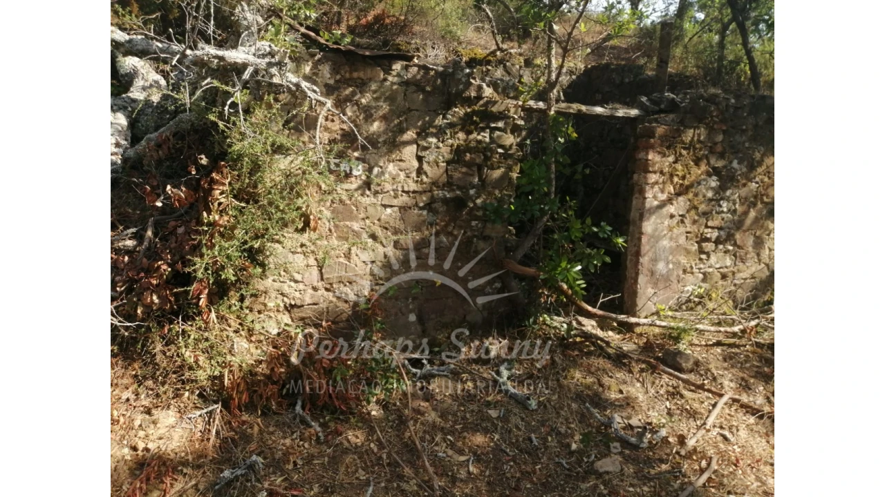 Terreno Misto para Venda em São Francisco da Serra Foto 3