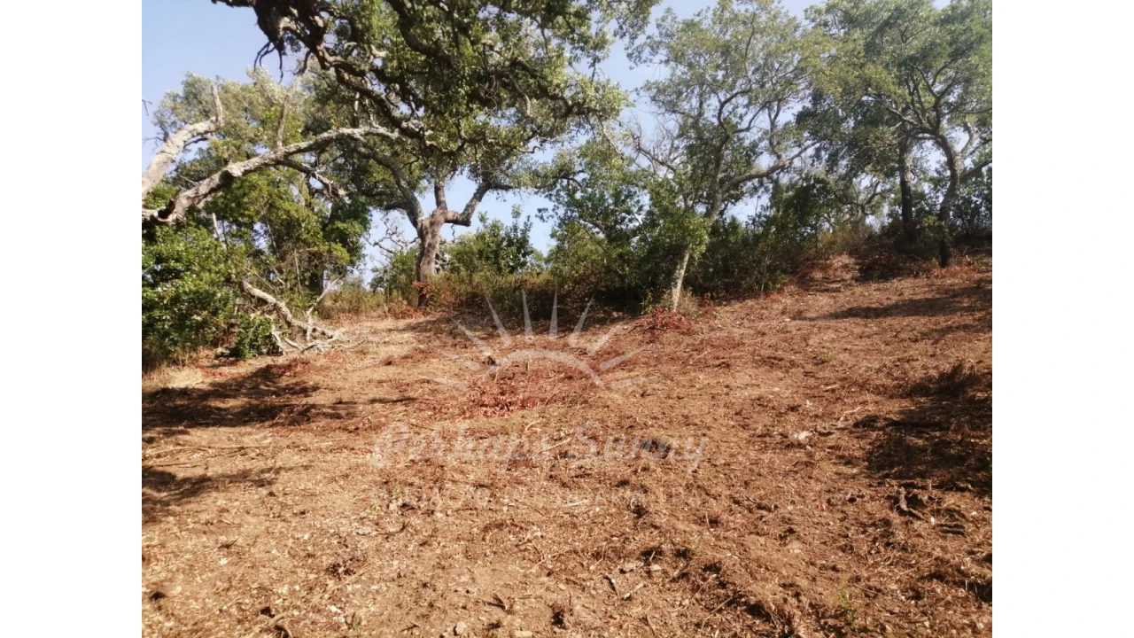 Terreno Misto para Venda em São Francisco da Serra Foto 5