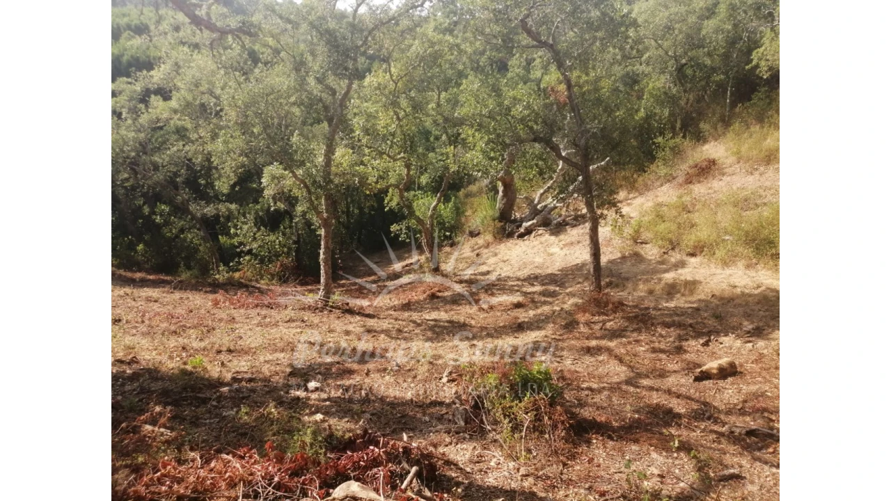 Terreno Misto para Venda em São Francisco da Serra Foto 6