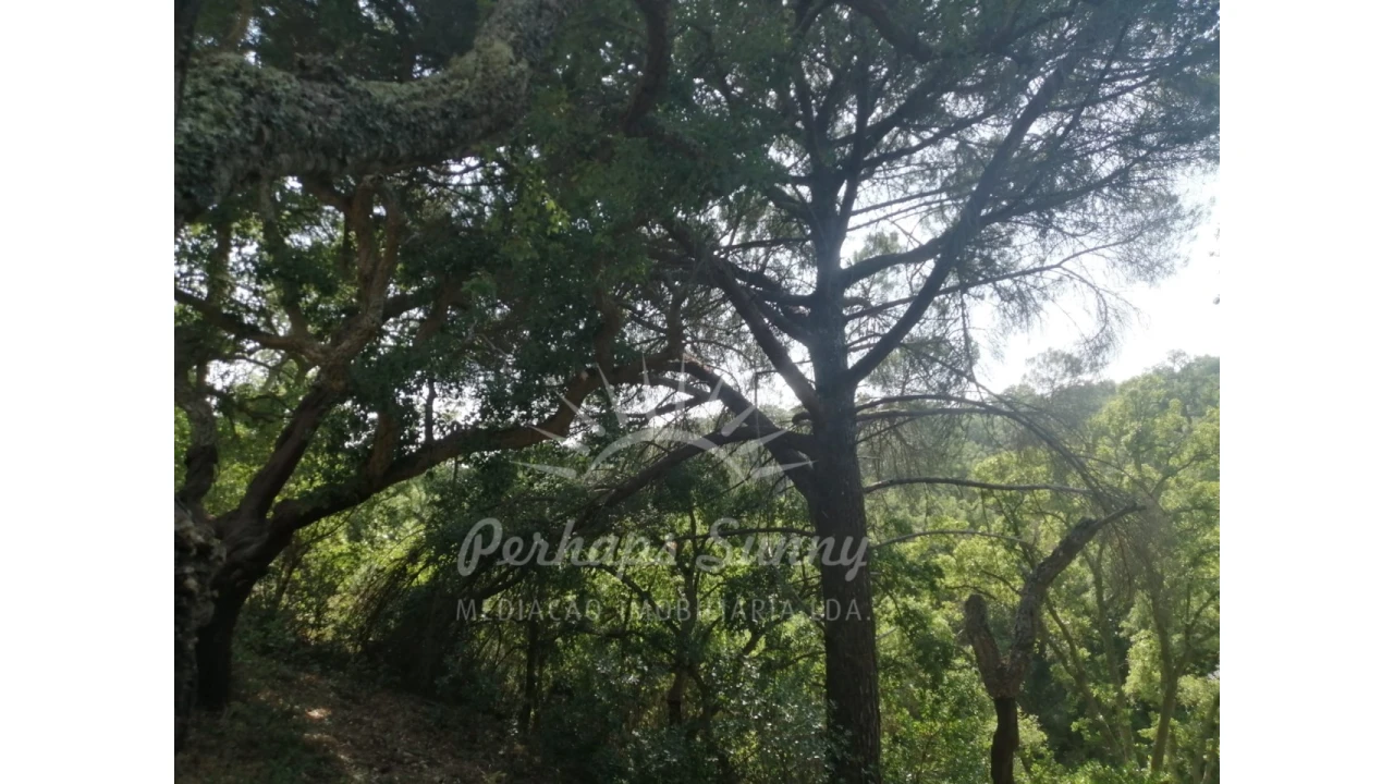 Terreno Misto para Venda em São Francisco da Serra Foto 1