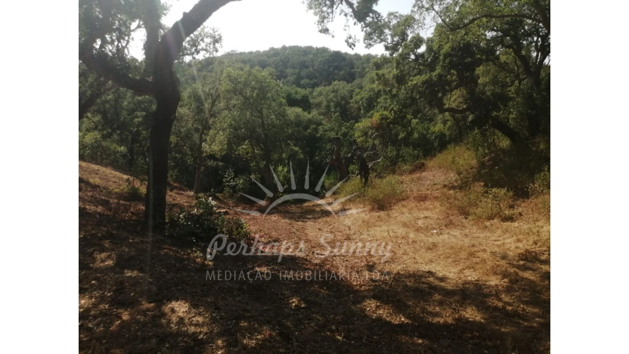 Terreno Misto para Venda em São Francisco da Serra Foto 2