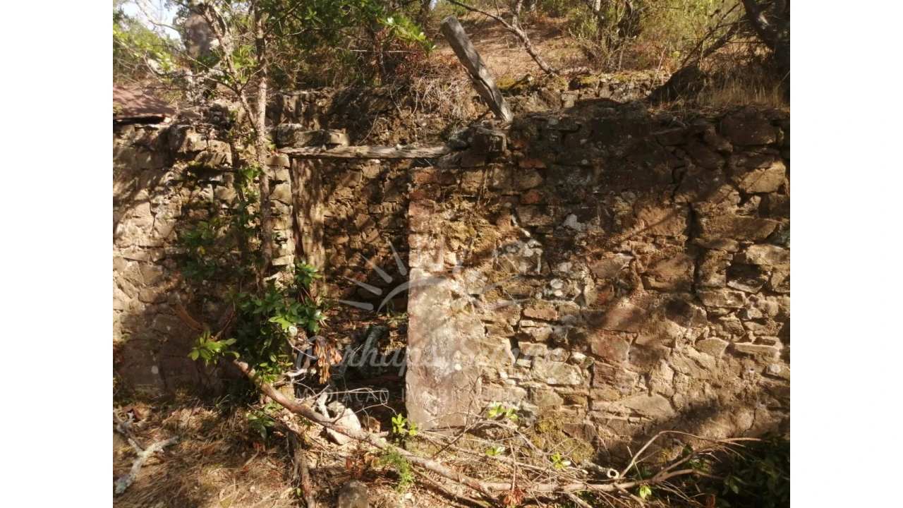 Terreno Misto para Venda em São Francisco da Serra Foto 4