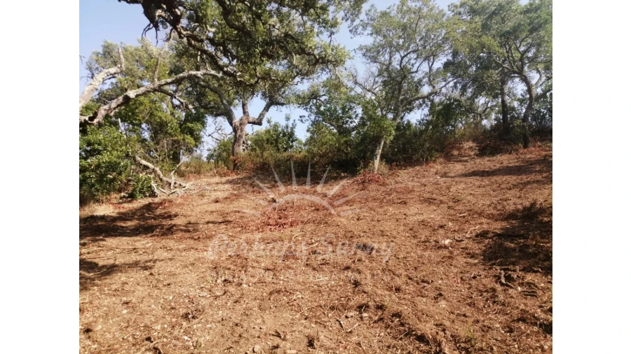 Terreno Misto para Venda em São Francisco da Serra Foto 5