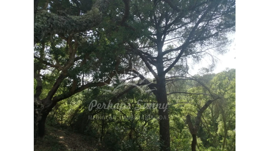 Terreno Misto para Venda em São Francisco da Serra