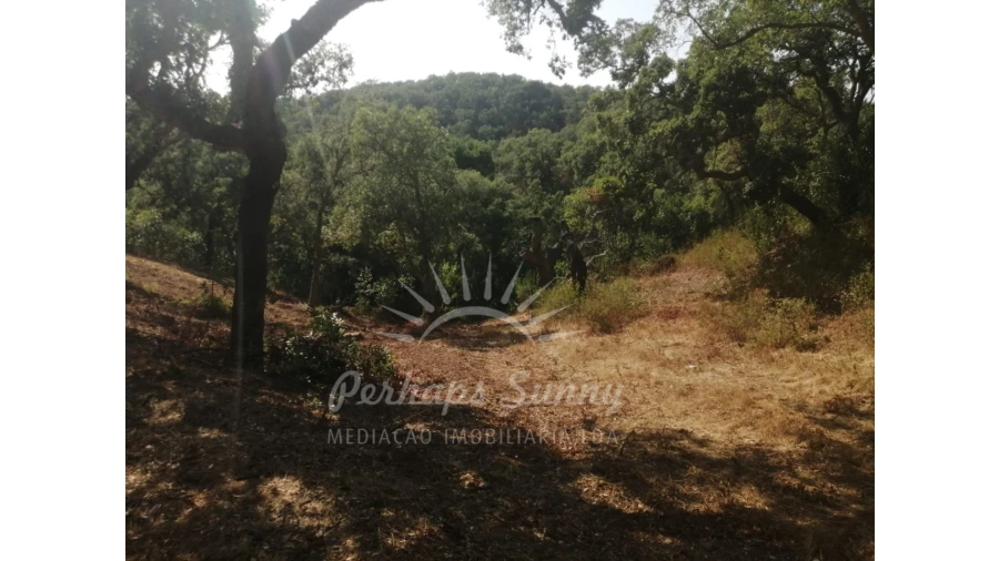 Terreno Misto para Venda em São Francisco da Serra Foto 2