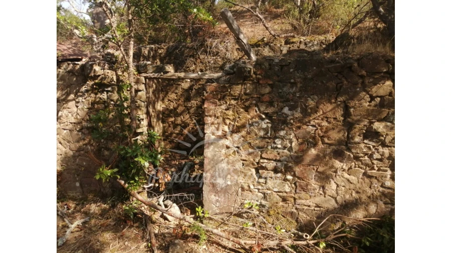 Terreno Misto para Venda em São Francisco da Serra Foto 4