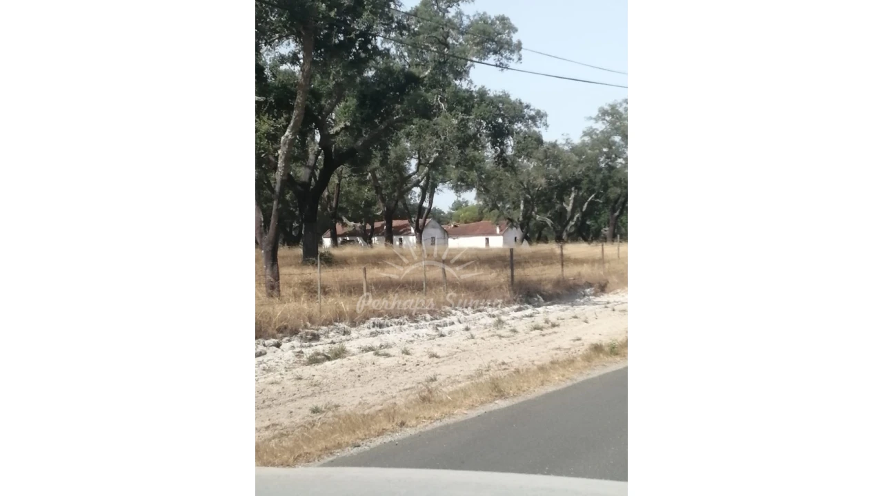 Terreno Misto para Venda em Grândola e Santa Margarida da Serra Foto 6