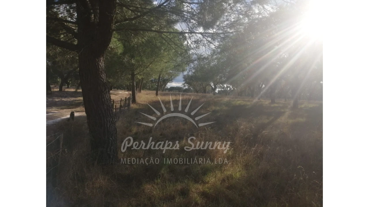 Terreno Misto para Venda em Grândola e Santa Margarida da Serra Foto 8