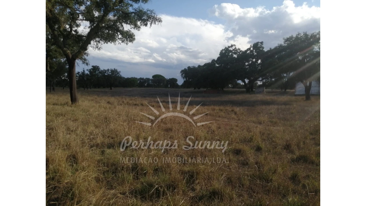 Terreno Misto para Venda em Grândola e Santa Margarida da Serra Foto 9