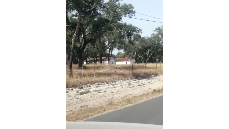 Terreno Misto para Venda em Grândola e Santa Margarida da Serra Foto 6