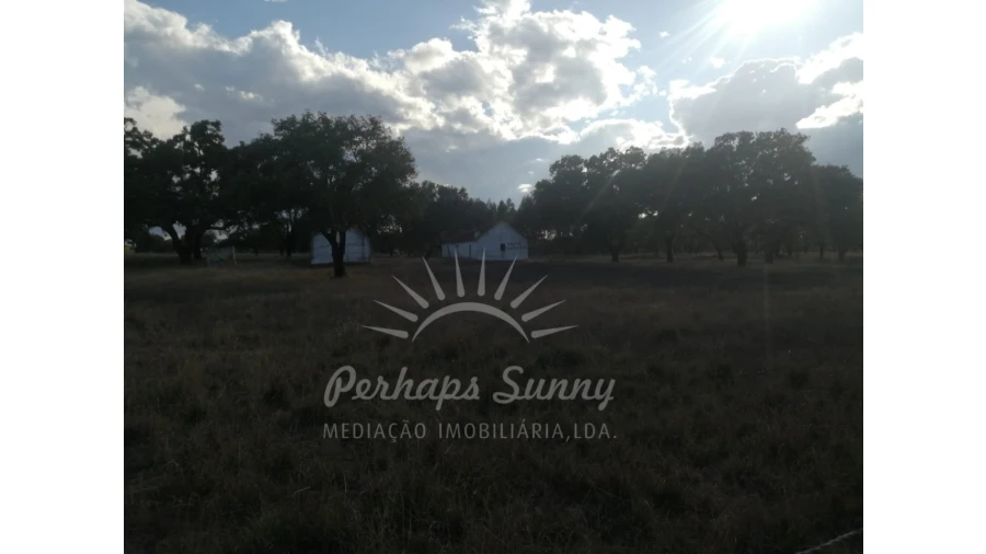 Terreno Misto para Venda em Grândola e Santa Margarida da Serra Foto 7